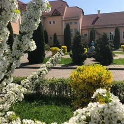 Casa Judeteana de Pensii Bistrita Nasaud