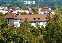 Colegiul National Mircea Cel Batran, Râmnicu Vâlcea