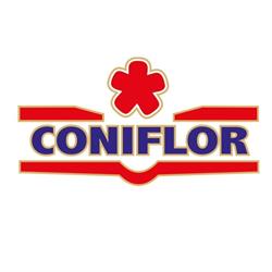 Coniflor S.r.l, Gurghiu