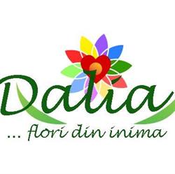 Floraria Dalia Targu Mures