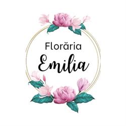 Floraria Emilia Hunedoara