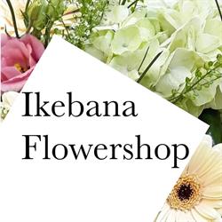 Floraria Prodimpex Ikebana SRL, Târgu Mureş