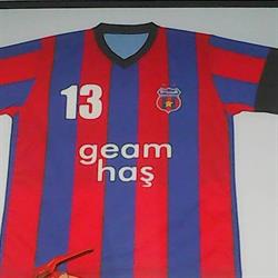 Geam-Has SRL, Roman