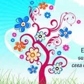 Grădiniţa Program Prelungit Nr. 8, Baia Mare