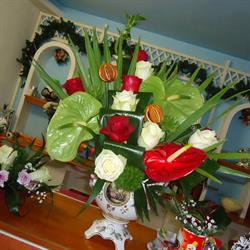 Holly Com SRL Braila - Floraria Holly