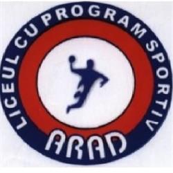 Liceul cu Program Sportiv Arad - Sala sport