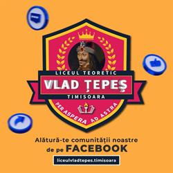 Liceul Teoretic Vlad Tepes Timisoara