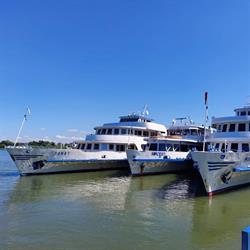 SC Navrom-Delta SA, Tulcea