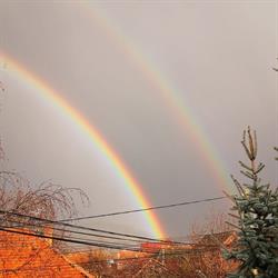 Ocolul Silvic Comandau, Covasna