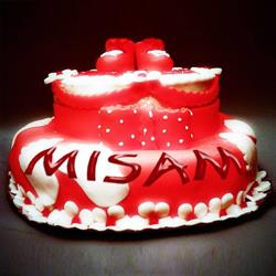 Misam S.r.l., Sibiu