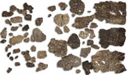Muzeul de Arheologie Callatis Mangalia