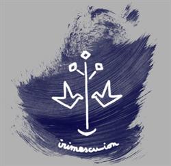 Muzeul de Artă "Ion Irimescu", Fălticeni
