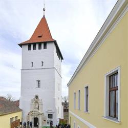 Muzeul Memorial Arany János, Salonta