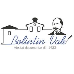 Primăria Bolintin-Vale