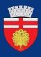 Primăria Municipiului Botoşani