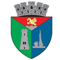 Primăria Carei