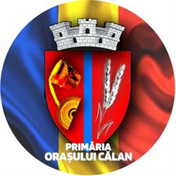 Primăria Călan