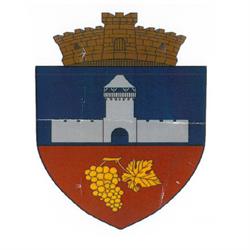 Primaria Calnic, Câlnic
