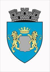 Primăria Cisnădie