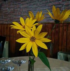 Restaurant Masa Lui Traian, Brezoi
