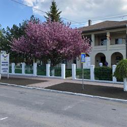 Primăria Negru Vodă