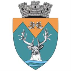 Primaria Novaci