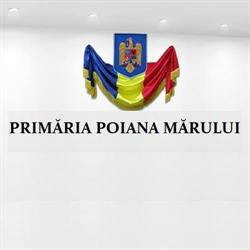 Primăria Poiana Mărului, Poiana Teiului