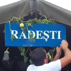 Primăria Rădeşti