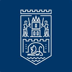 primaria satu mare, Satu Mare