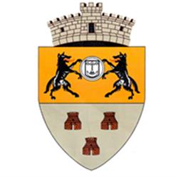 Primăria Satulung