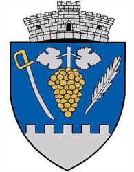 Primăria Şiria