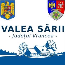 Primăria Valea Mare