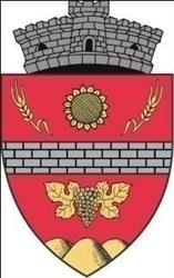Primăria Valu Lui Traian, Valu lui Traian
