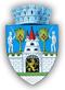Primăria Vetiş