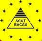 SCUT S.A, Bacău