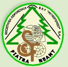 Sef-Petroforest SA Piatra Neamt