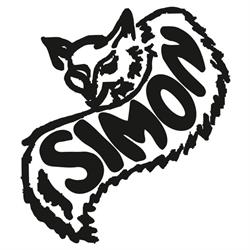 SC Simon Com SRL, Carei