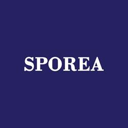 Sporea Com SRL, Oraviţa