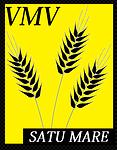 v m v S.r.l, Satu Mare