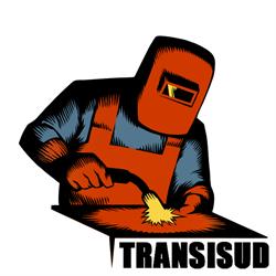Transisud Consulting S.r.l, Cluj-Napoca