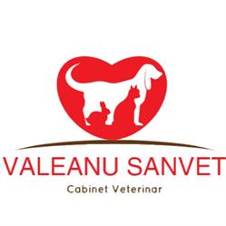 Valeanu SanVet, Dej