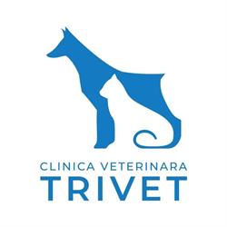 Trivet S.r.l, Cluj-Napoca