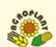 Agroplant S.r.l, Bucureşti