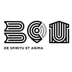 Biblioteca Centrala Universitara Carol i, Bucureşti
