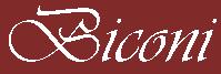 Biconi S.r.l, Iaşi