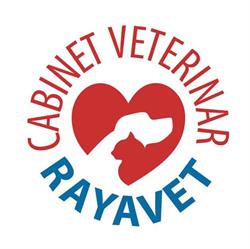 Rayavet, Bucureşti