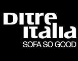 Ditre International SRL, Arad