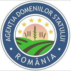Agentia Domeniilor Statului, Bucureşti