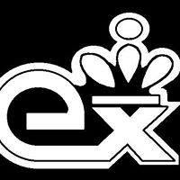 Exclusiv Import-Export S.r.l, Bucureşti