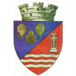 Primăria Făget